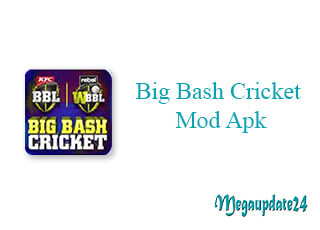 Big Bash Cricket Mod Apk