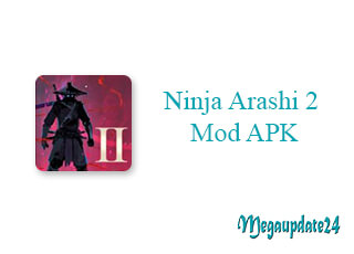 Ninja Arashi 2 Mod Apk