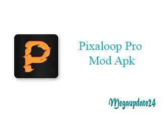 Pixaloop Pro Mod Apk