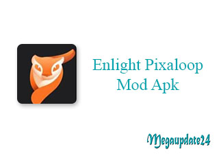 Enlight Pixaloop Mod Apk v1.3.15 Unlocked All Download