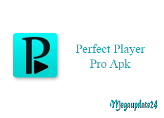 Perfect Player Pro Apk v1.6.0.1 Download For Android