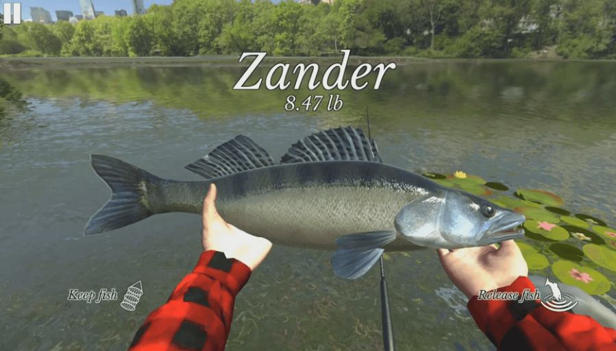 Ultimate Fishing Simulator Mod Apk v3.0 Unlimited Money