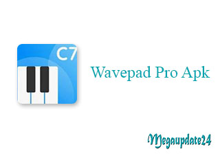 Wavepad Pro APK v17.88 Download